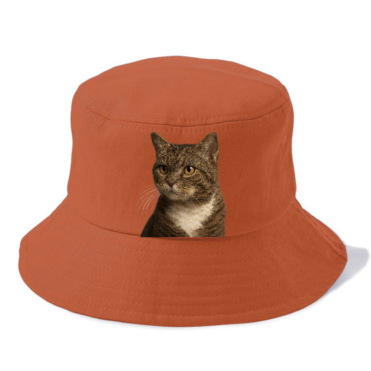american-wirehair-unique-charm Hat