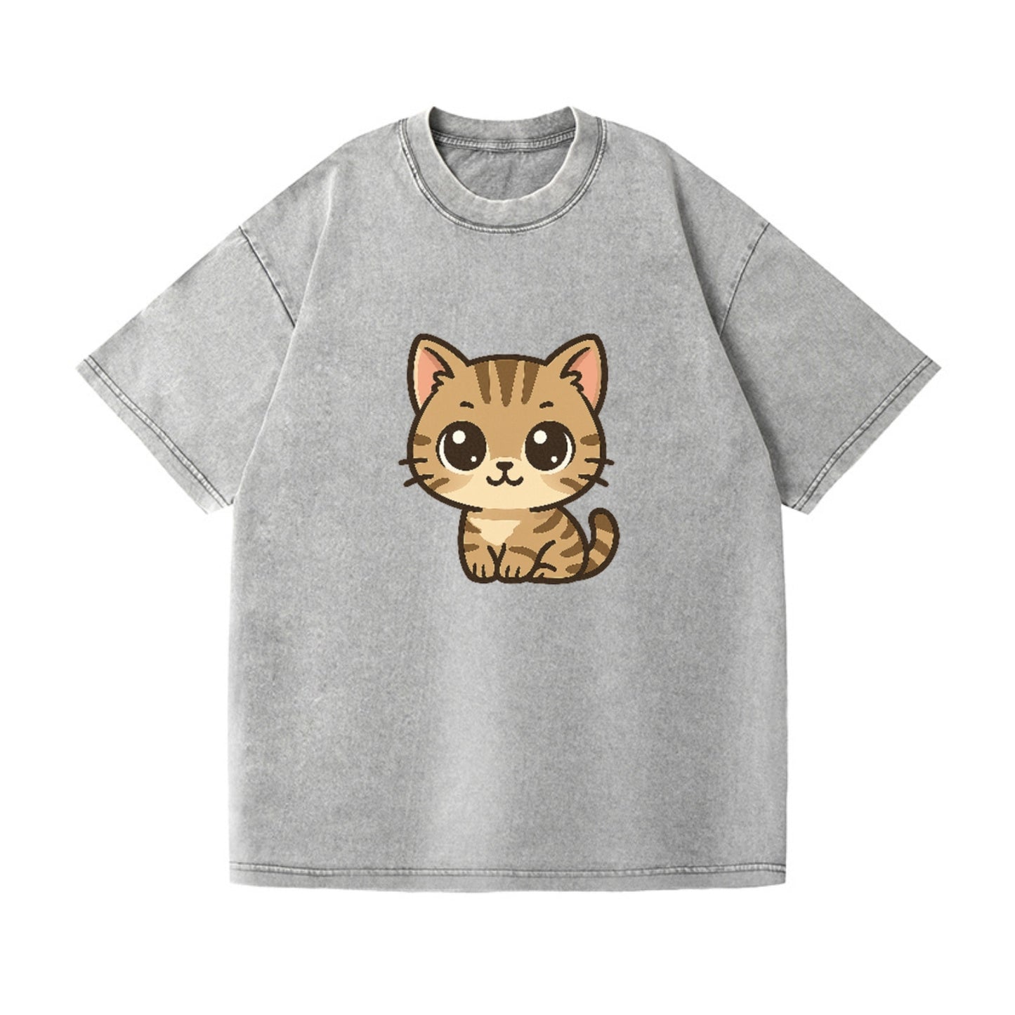 tabby-mix-playful-spirit Hat