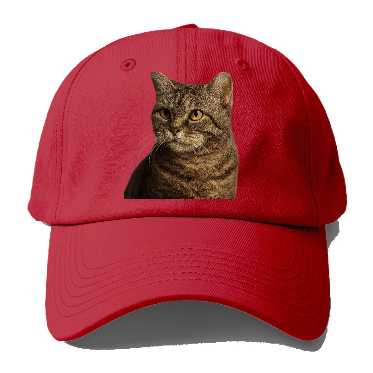 american-wirehair-unique-texture Hat
