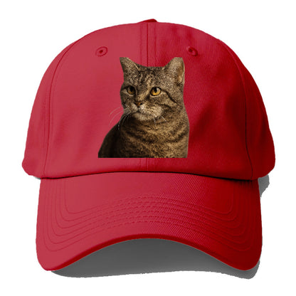 american-wirehair-unique-texture Hat