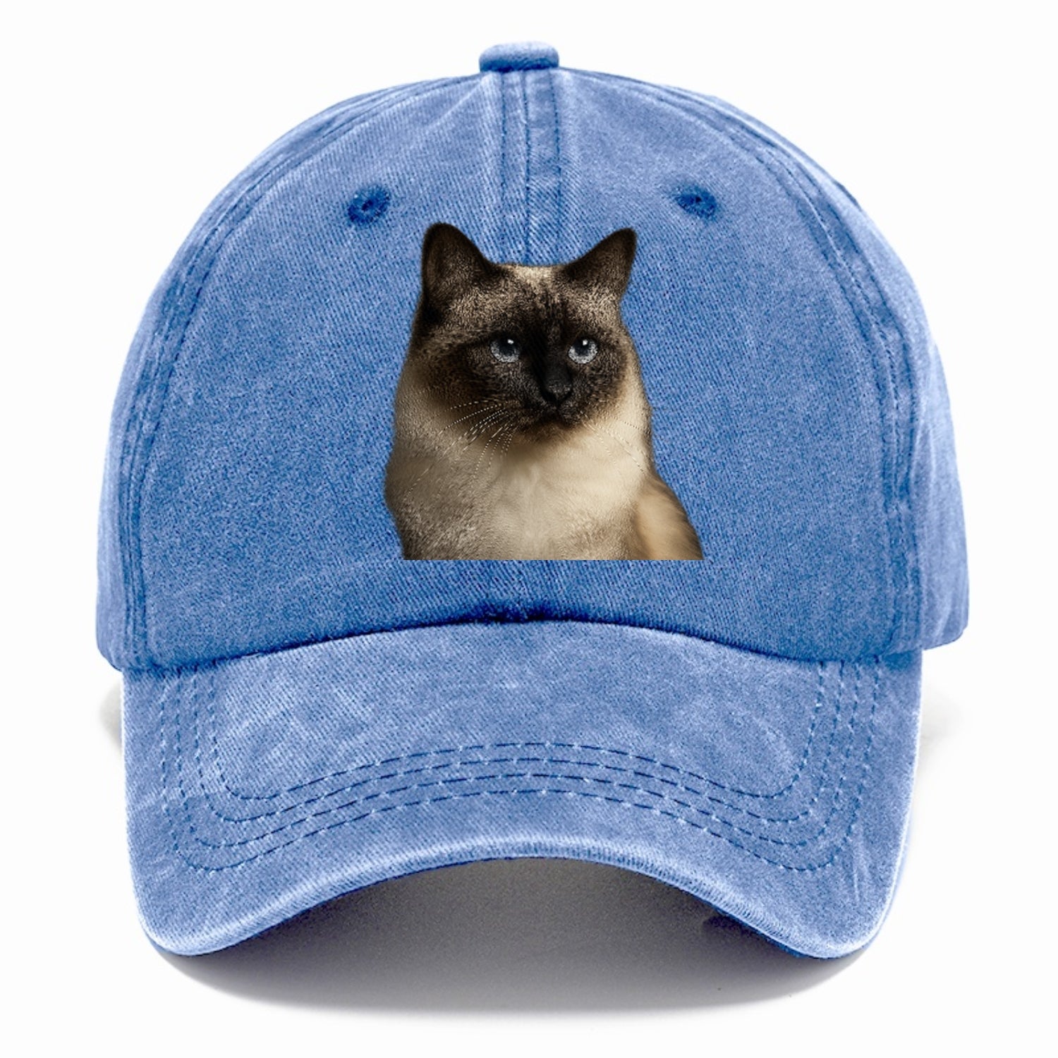 birman-cat-serene-elegance Hat
