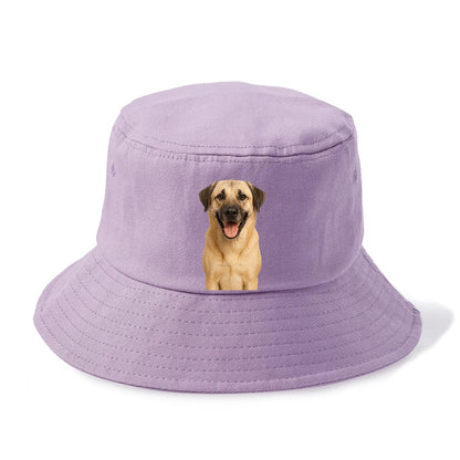 anatolian shepherd portrait design Hat
