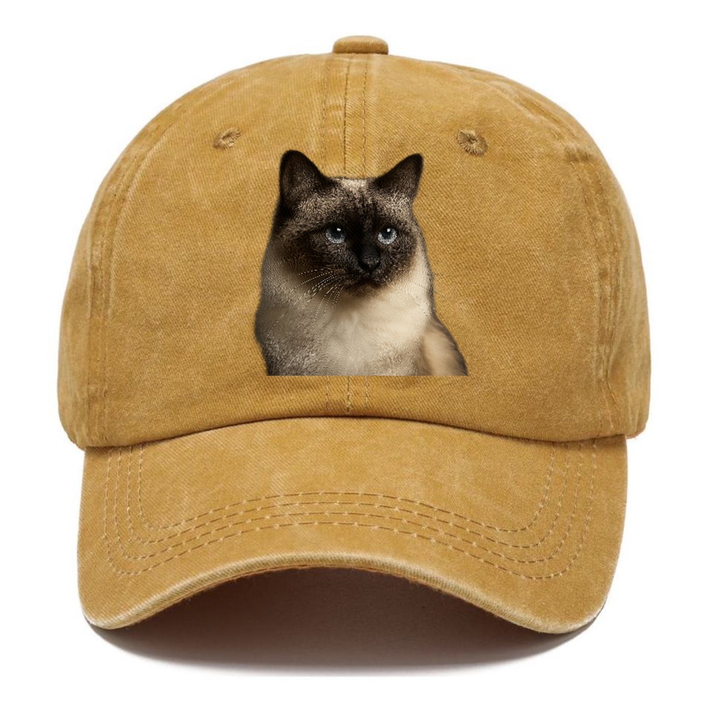 birman-cat-serene-elegance Hat