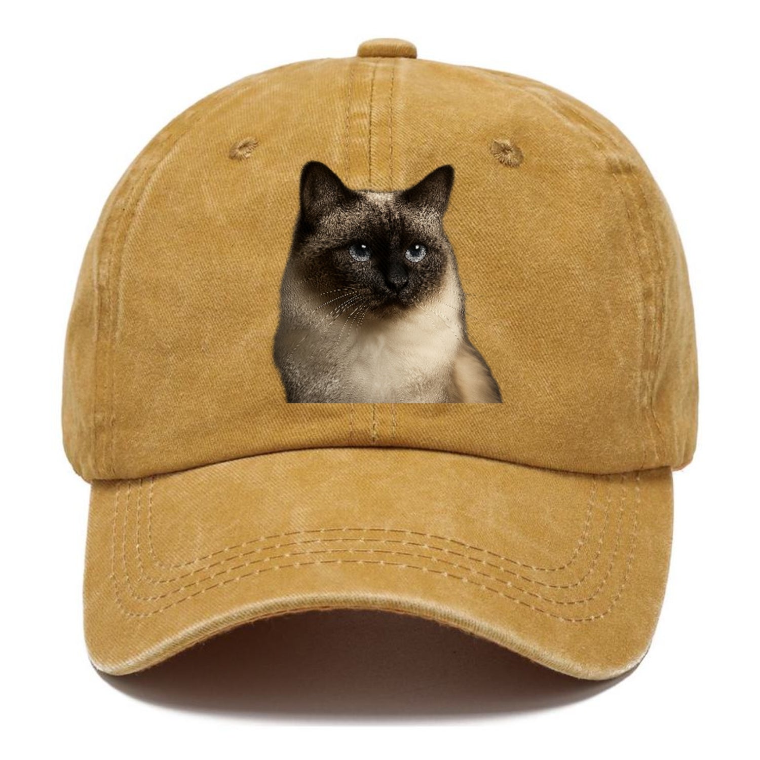 birman-cat-serene-elegance Hat