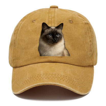 birman-cat-serene-elegance Hat