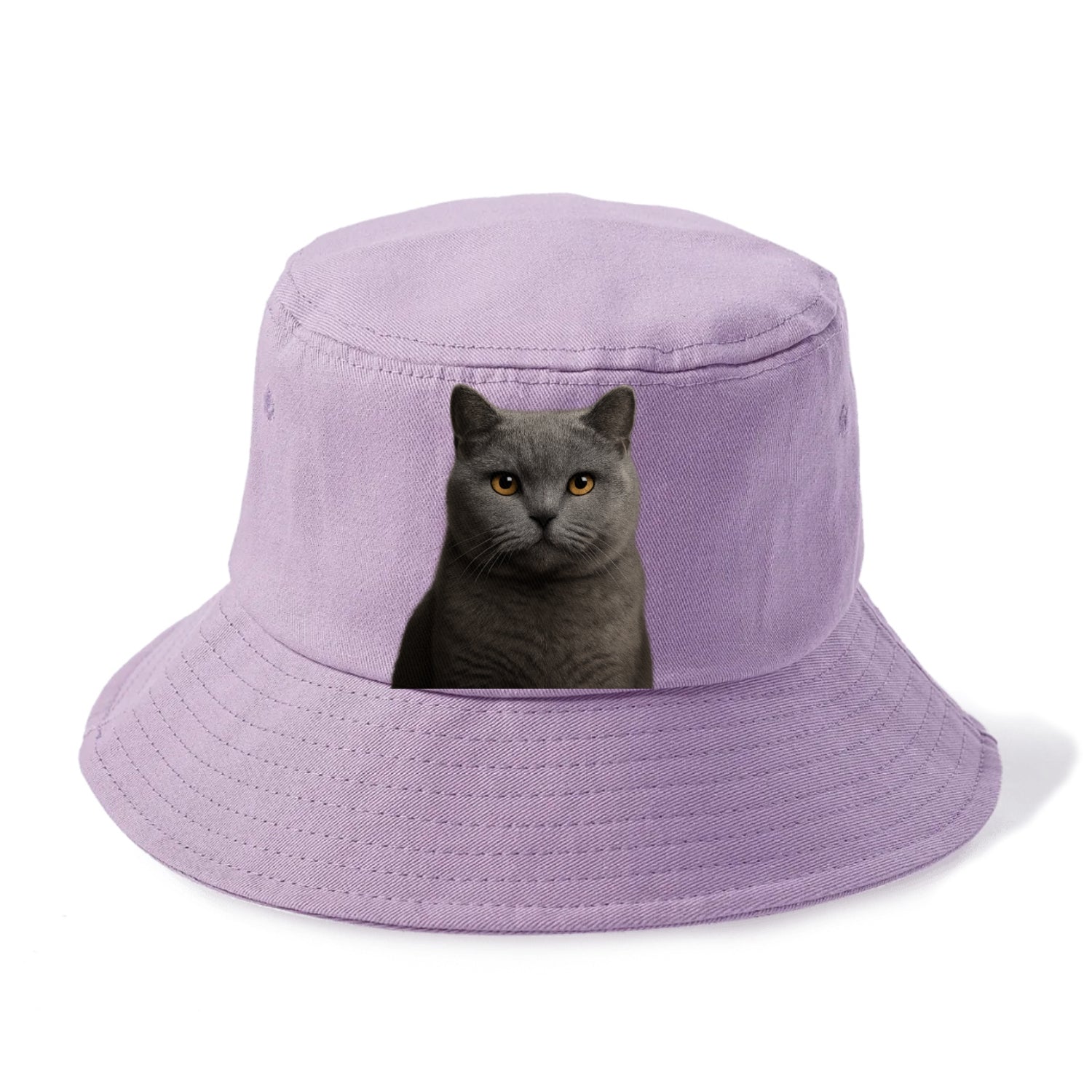 british shorthair dignified charm Hat