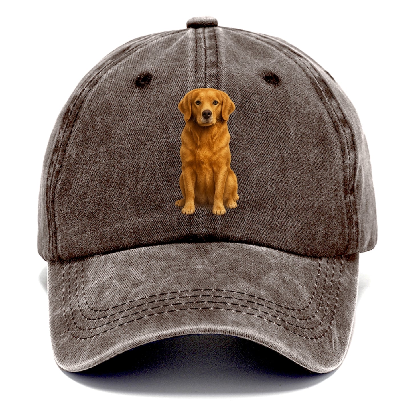 golden retriever portrait on brown background Hat