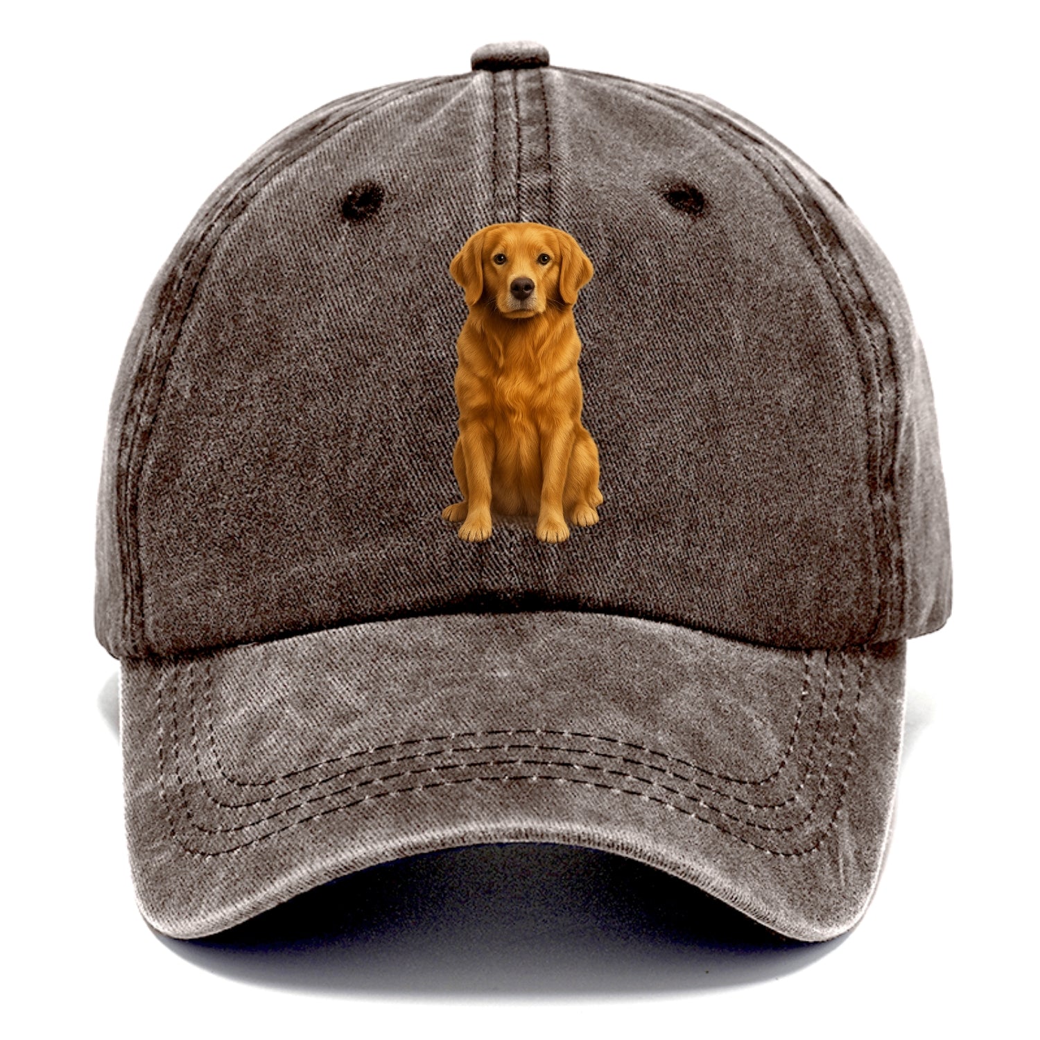 golden retriever portrait on brown background Hat