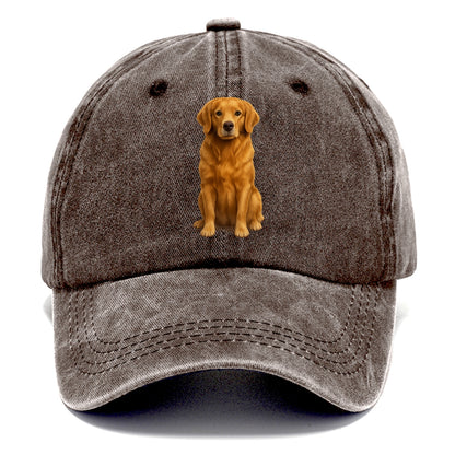 golden retriever portrait on brown background Hat