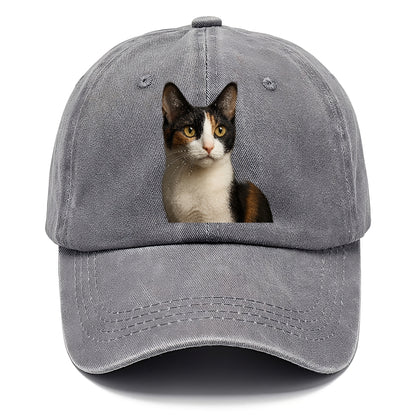japanese-bobtail-playful-charm Hat