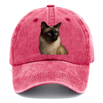 javanese-mystic-aura Hat