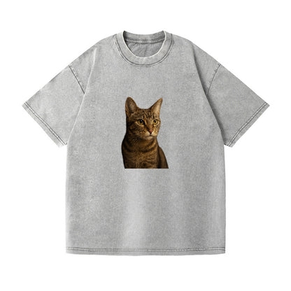 playful-cat-playful-spirit Hat