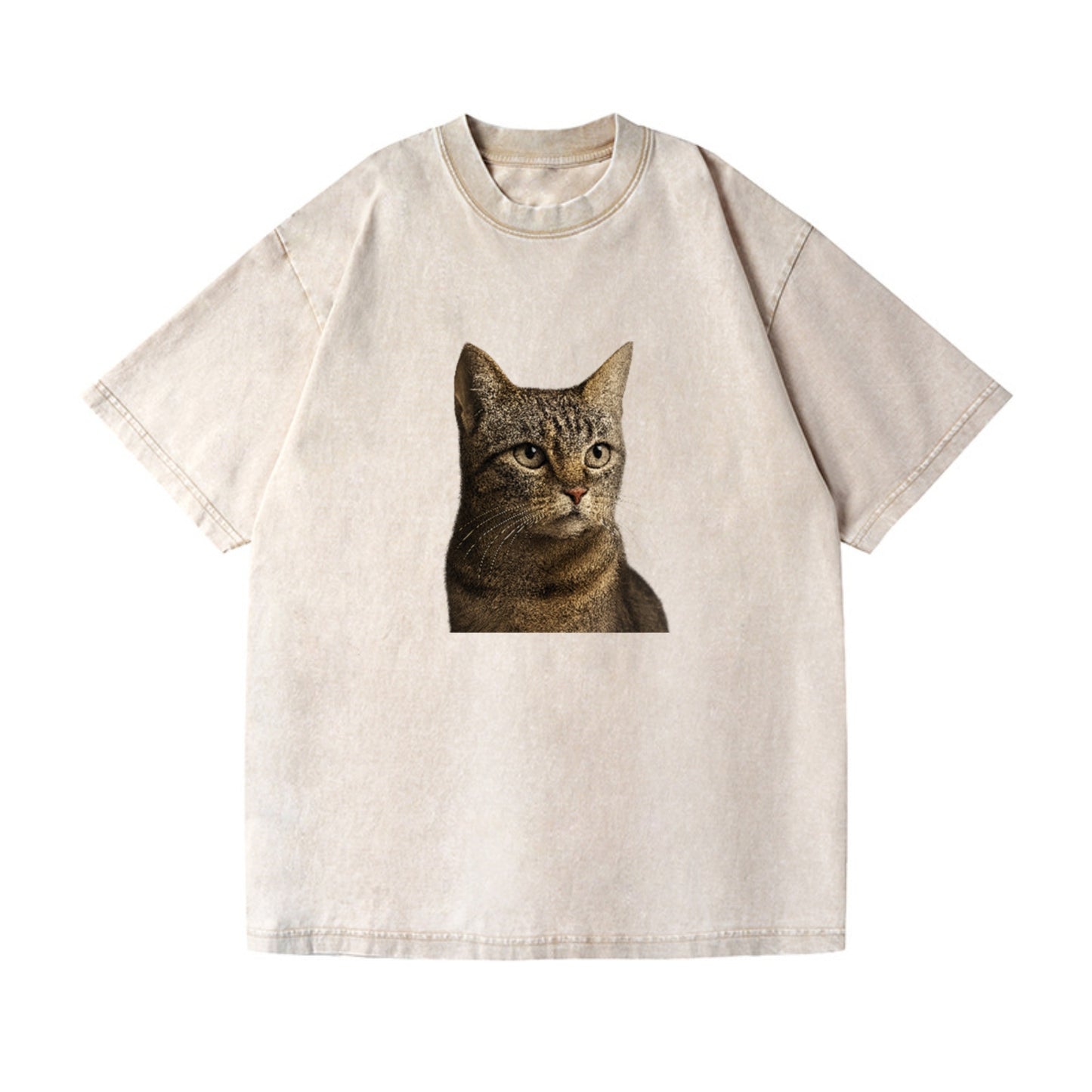 stray-cat-resilient-spirit Hat