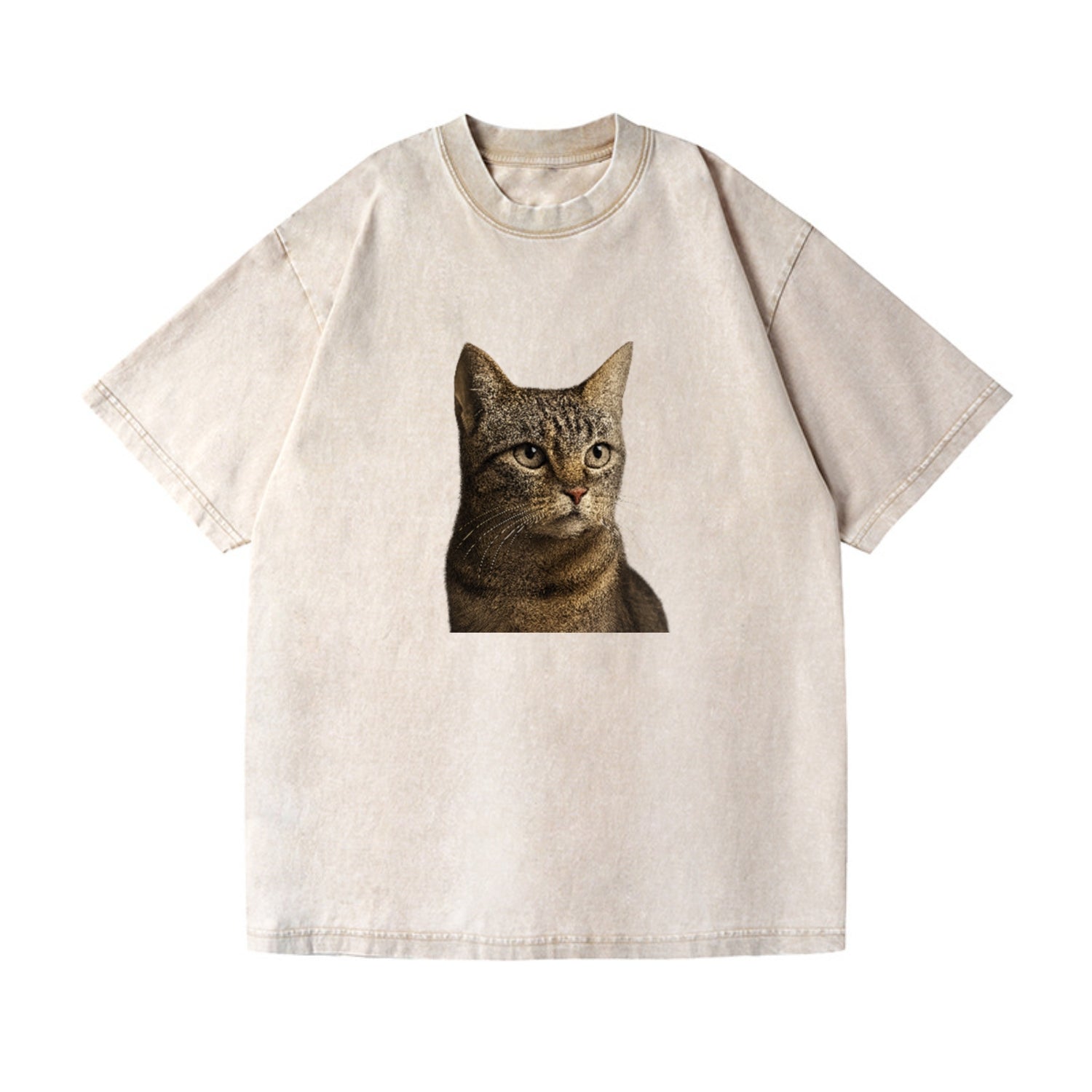 stray-cat-resilient-spirit Hat