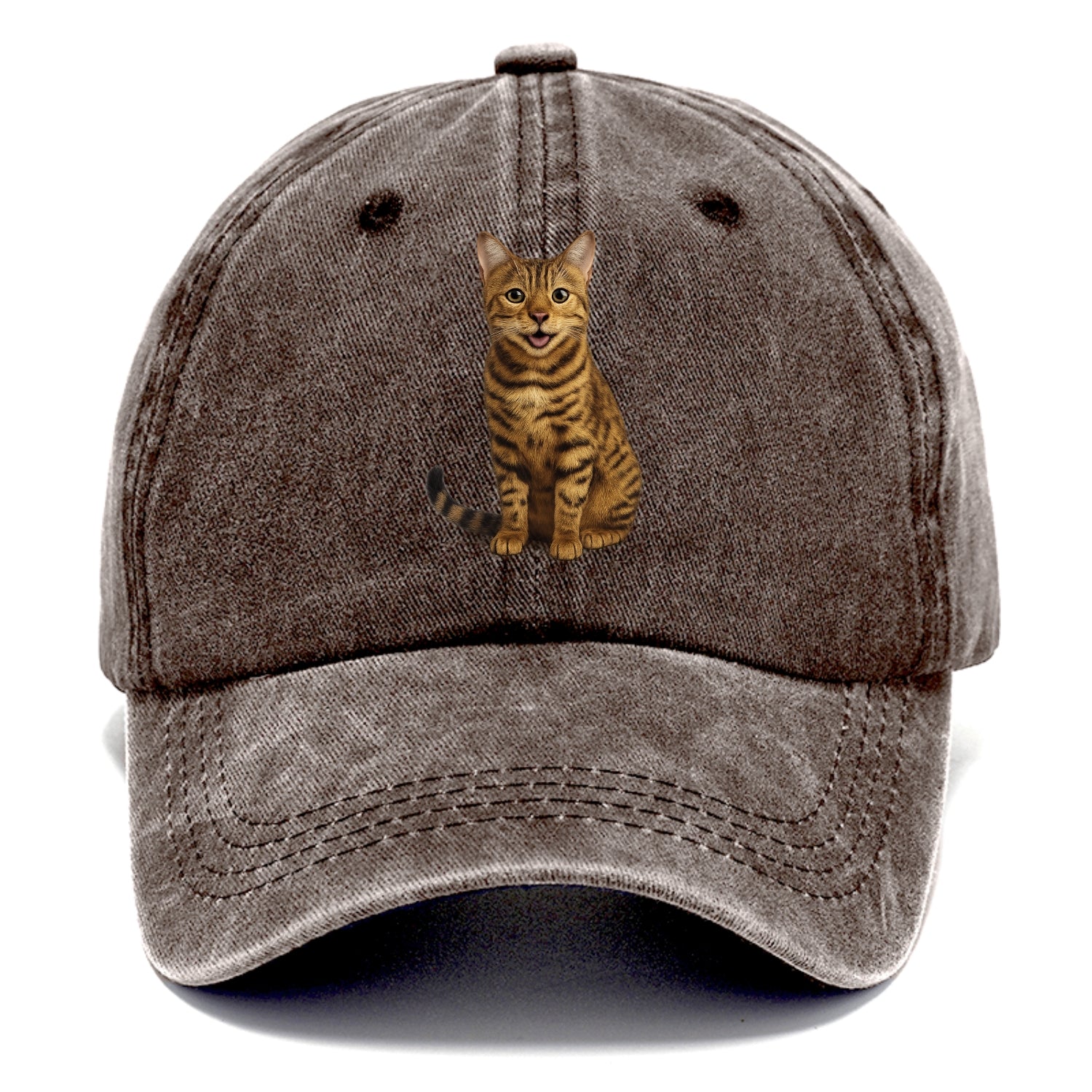 whiskered wonders Hat