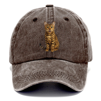 whiskered wonders Hat