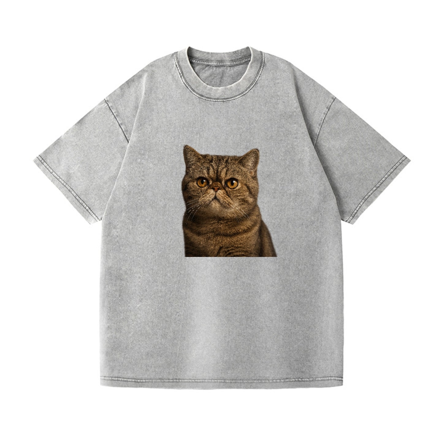 exotic-shorthair-charm Hat