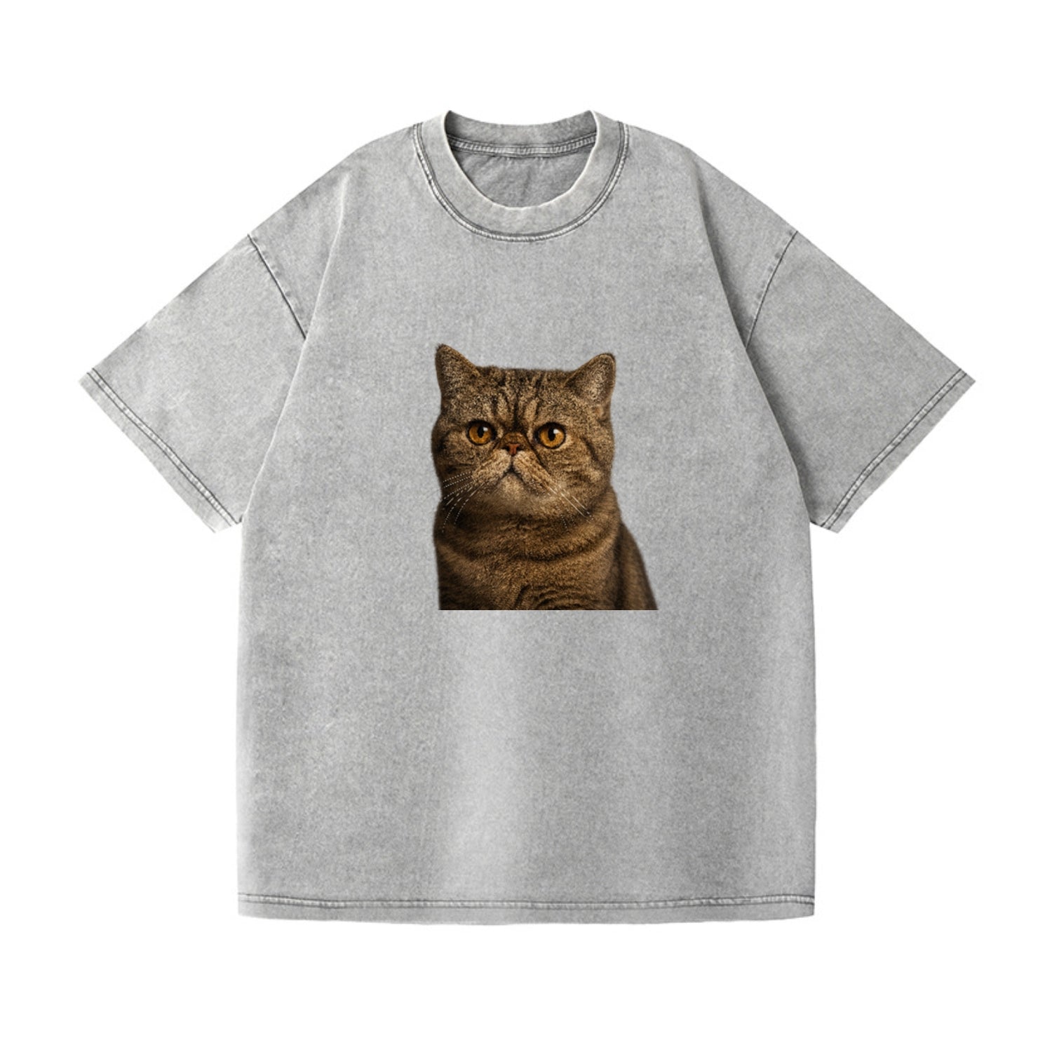 exotic-shorthair-charm Hat