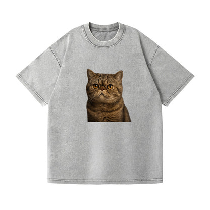 exotic-shorthair-charm Hat