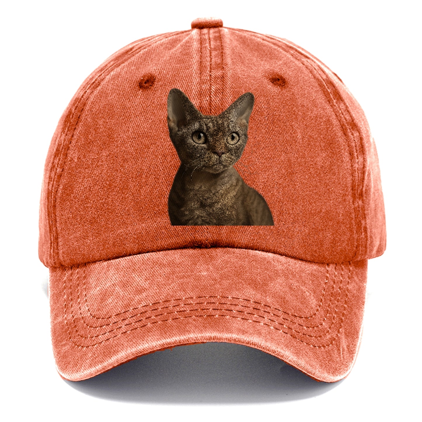 devon-rex-playful-spirit Hat