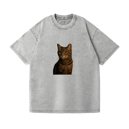 brown-tabby-cozy-charm Hat