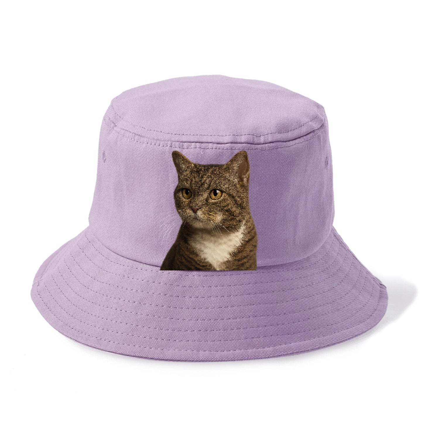 american-wirehair-unique-charm Hat