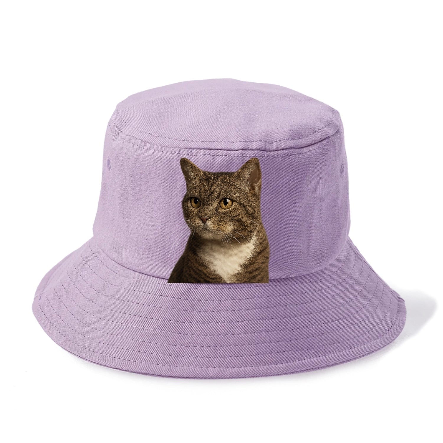 american-wirehair-unique-charm Hat