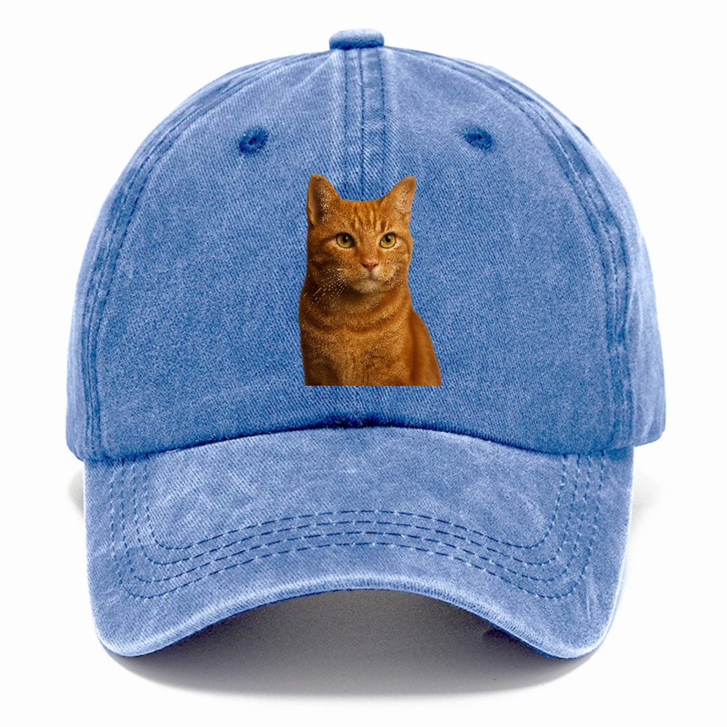 orange-tabby-cozy-companion Hat