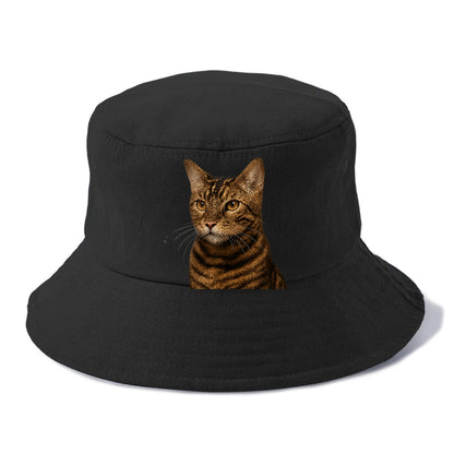 toyger-exotic-allure Hat