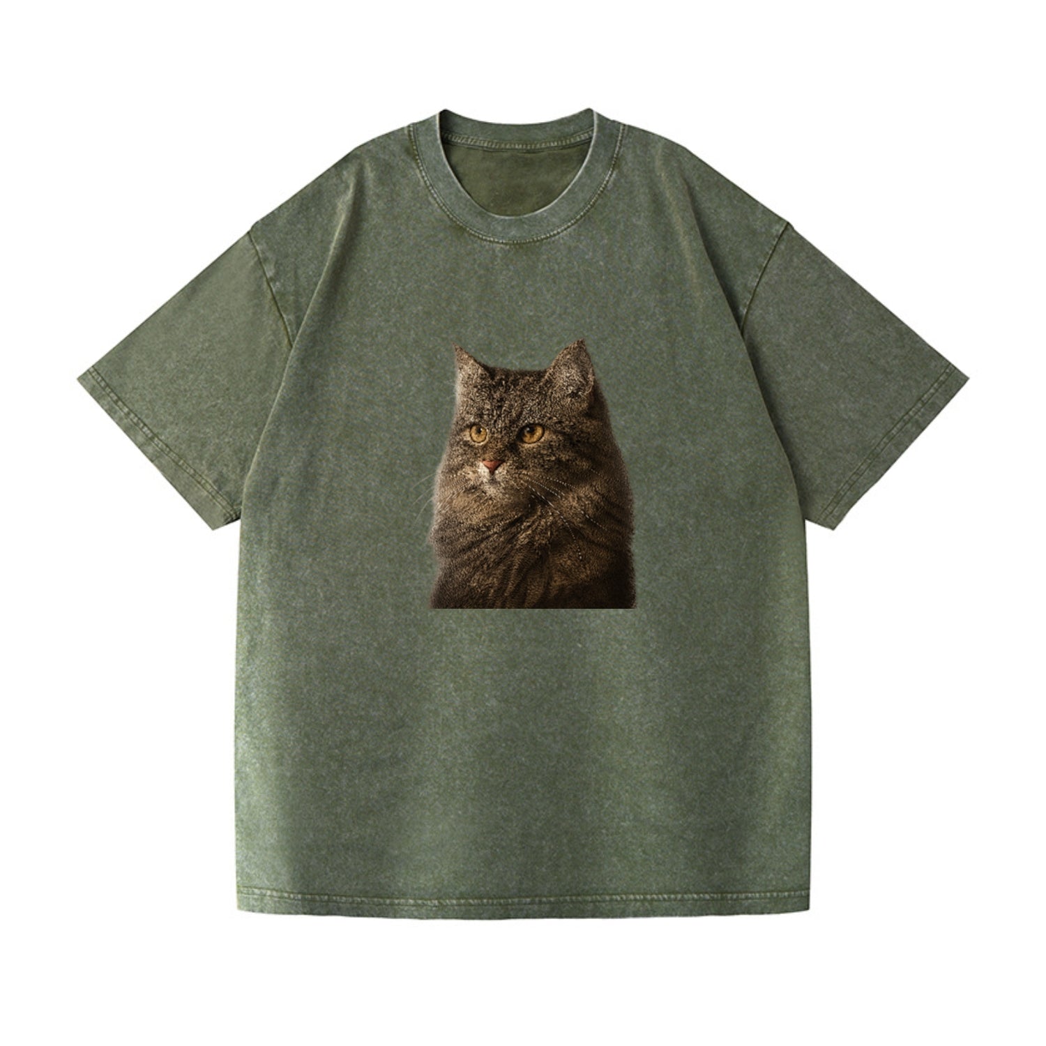 domestic-longhair-graceful-charm Hat