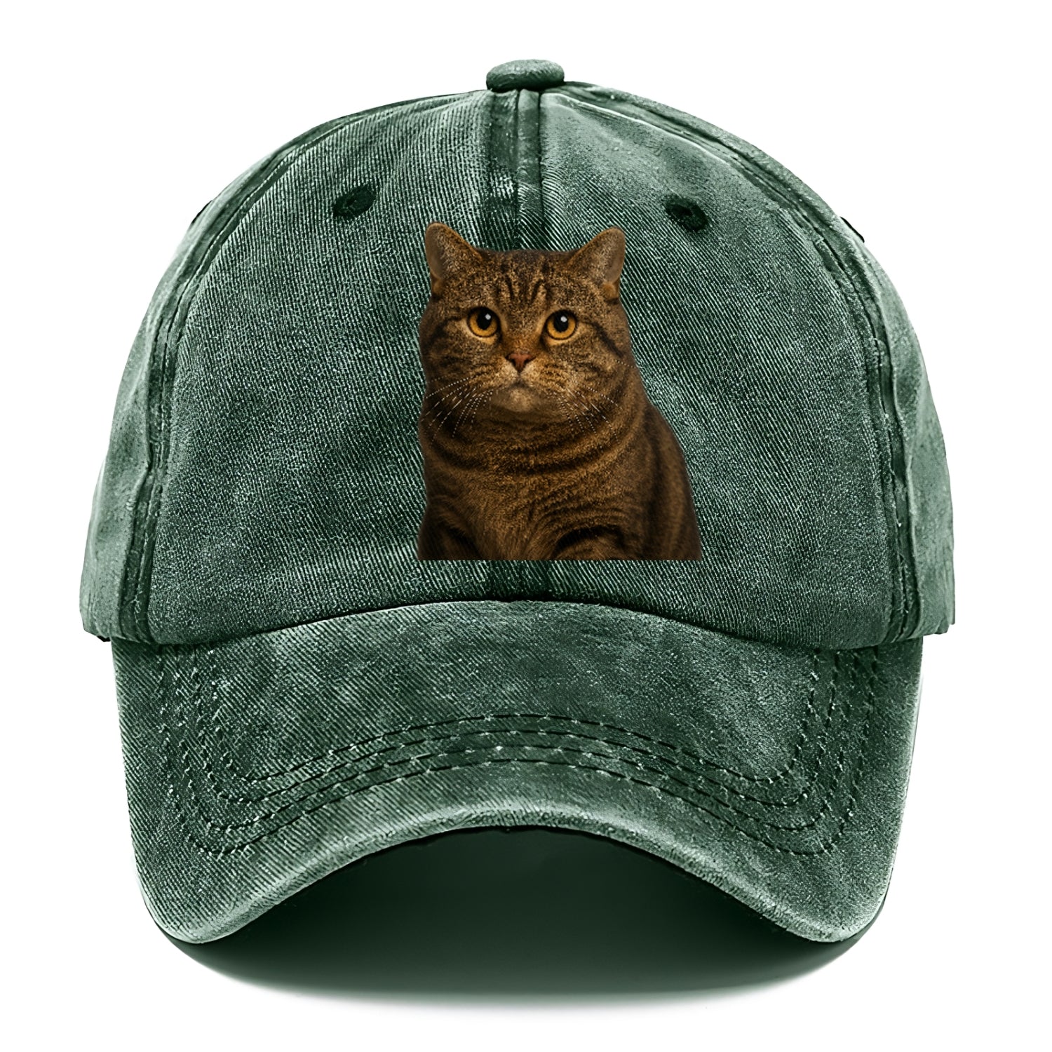 manx-cat-distinct-charm Hat