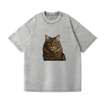 maine coon majestic feline Hat