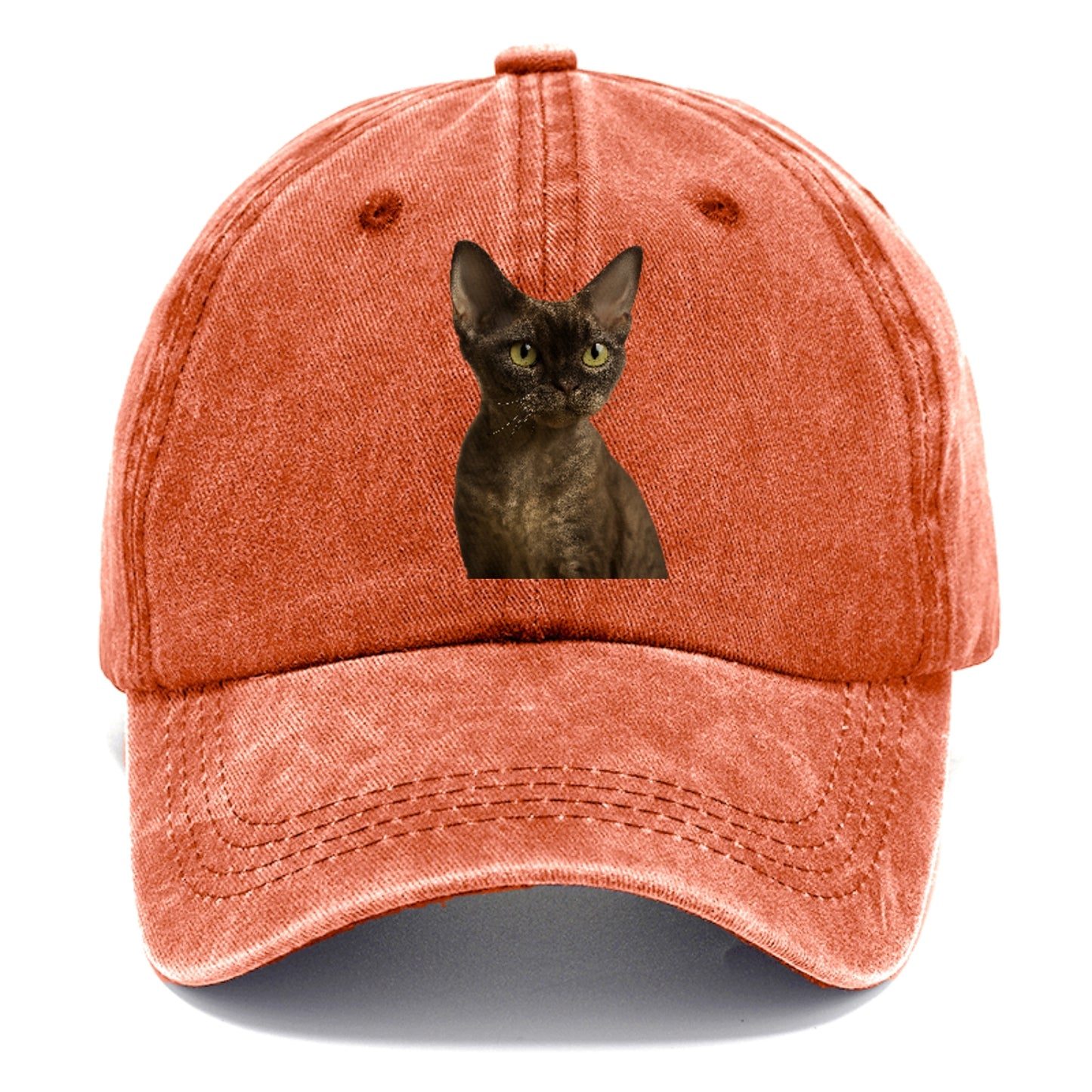 devon-rex-the-unique-charm Hat