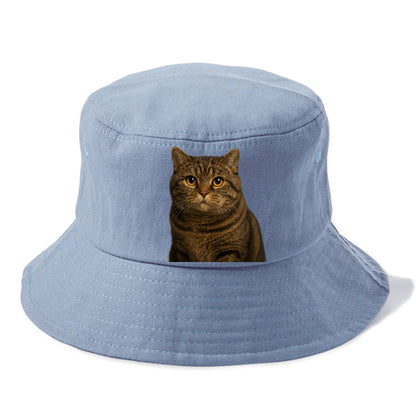 manx-cat-distinct-charm Hat