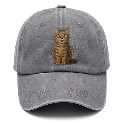 purrfectly peculiar Hat