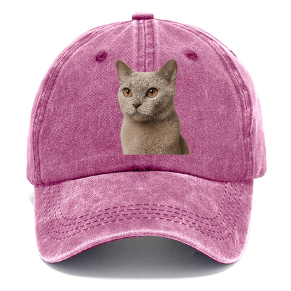 lilac-cat-playful-spirit Hat