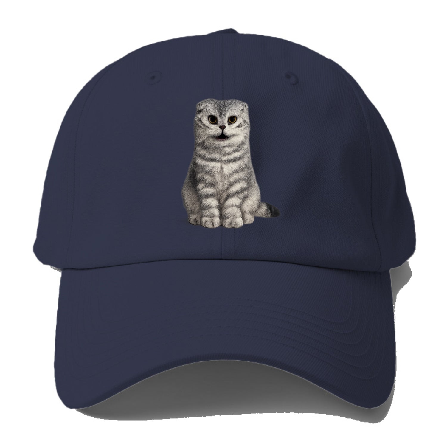 surprised striped cat whimsical portrait Hat