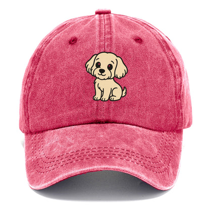 havanese cream colored sitting pose portrait design Hat