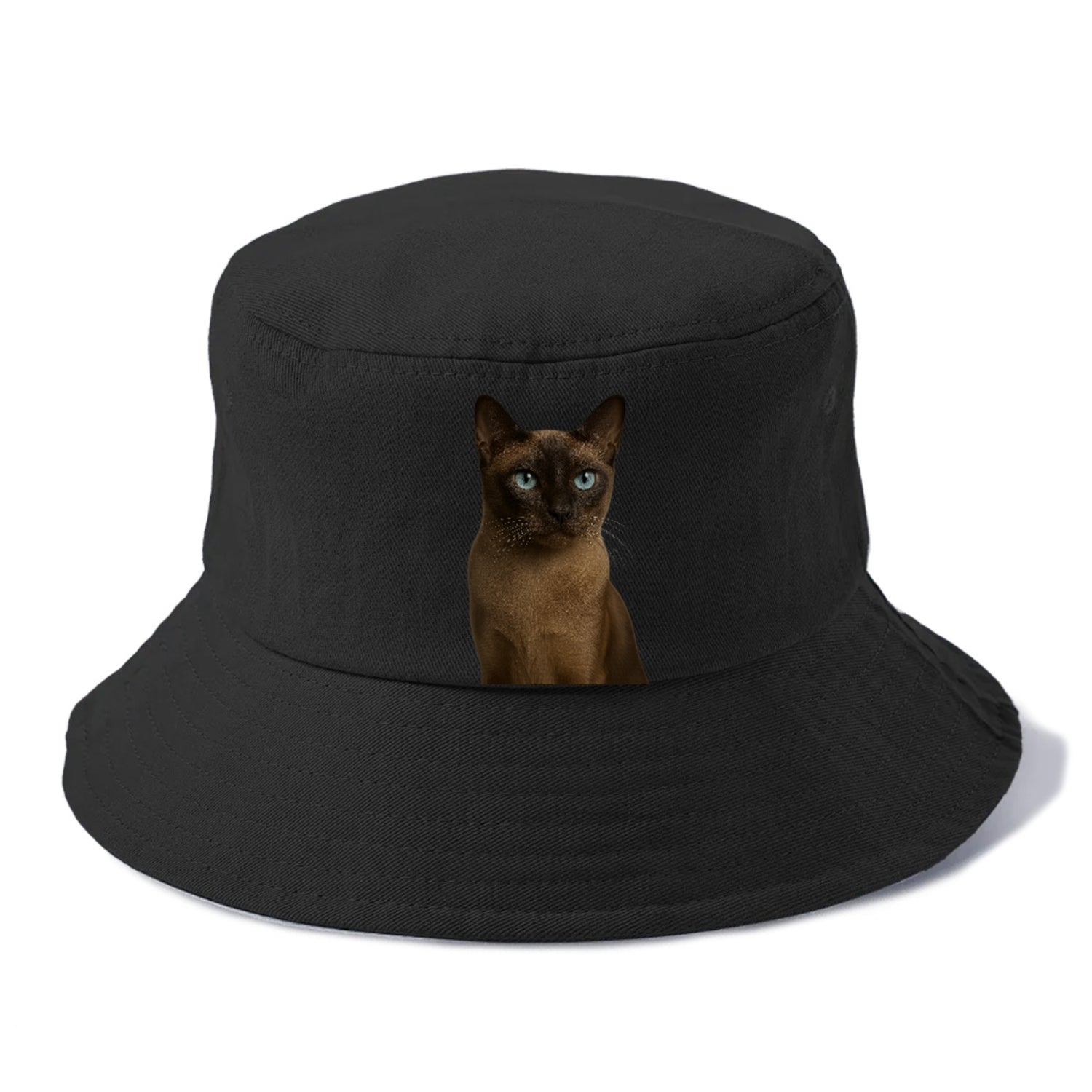 tonkinese-playful-spirit Hat