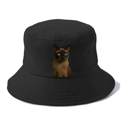 tonkinese-playful-spirit Hat