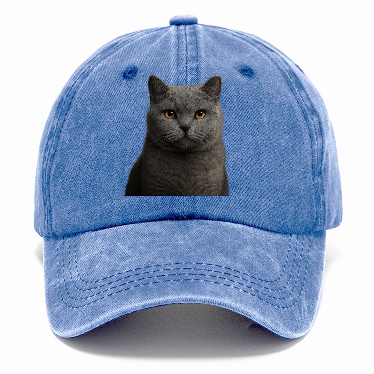 british shorthair dignified charm Hat