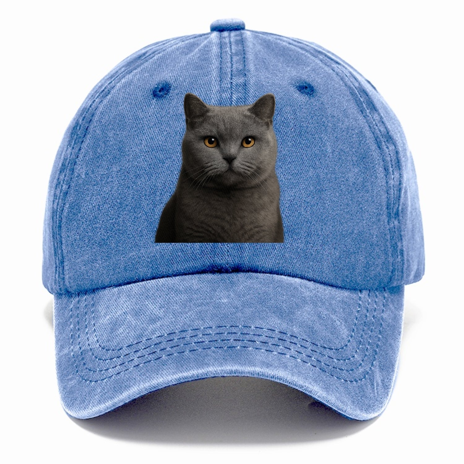 british shorthair dignified charm Hat