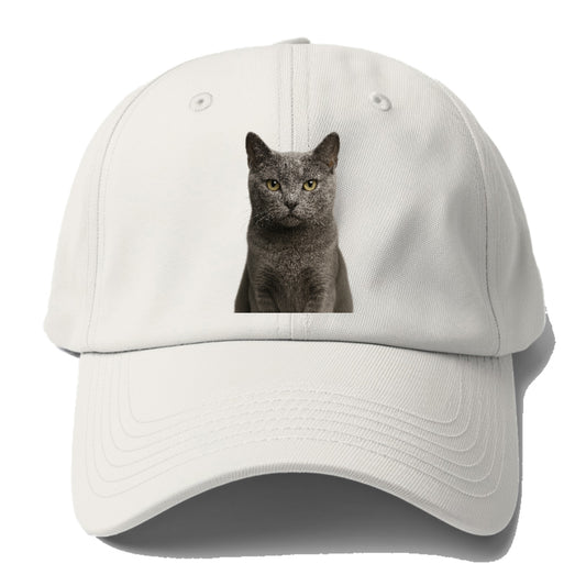 gray-cat-mysterious-charm Hat