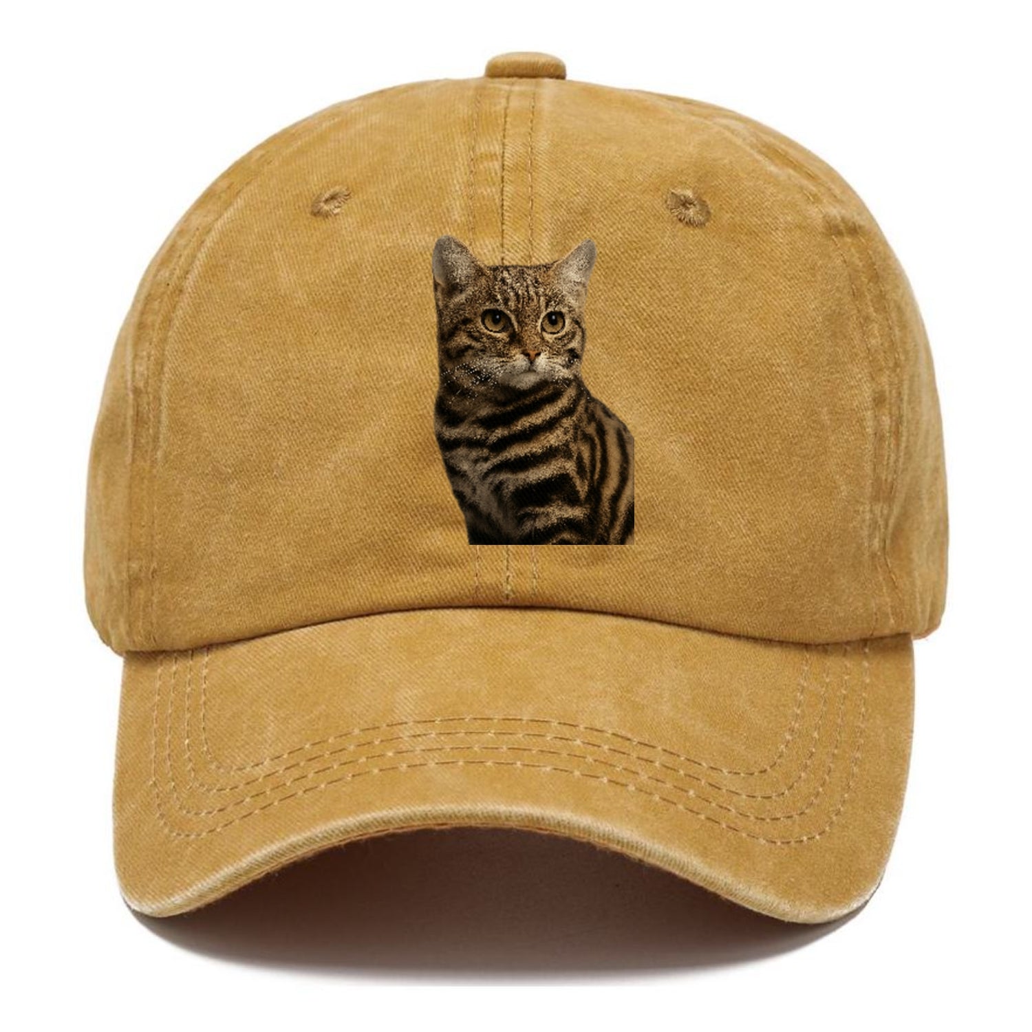 blackfooted-cat-elusive-hunter Hat