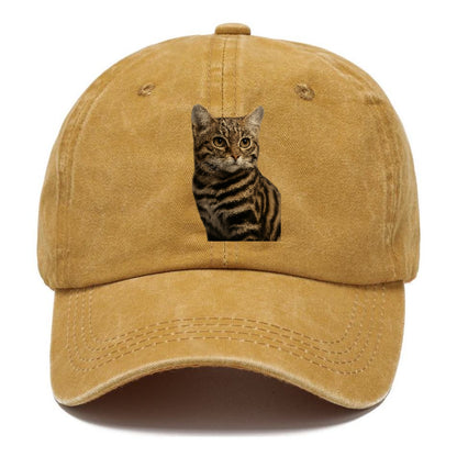 blackfooted-cat-elusive-hunter Hat