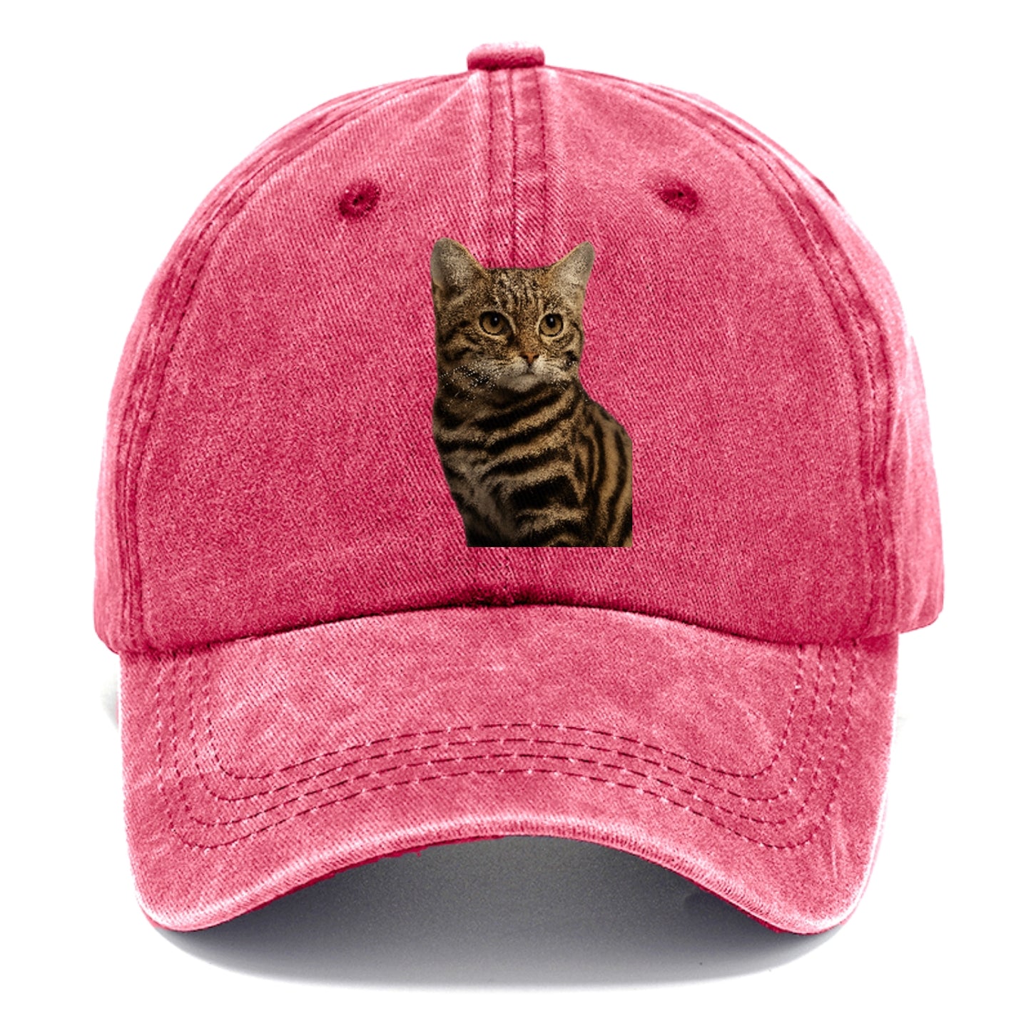 blackfooted-cat-elusive-hunter Hat