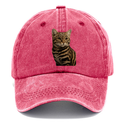 blackfooted-cat-elusive-hunter Hat