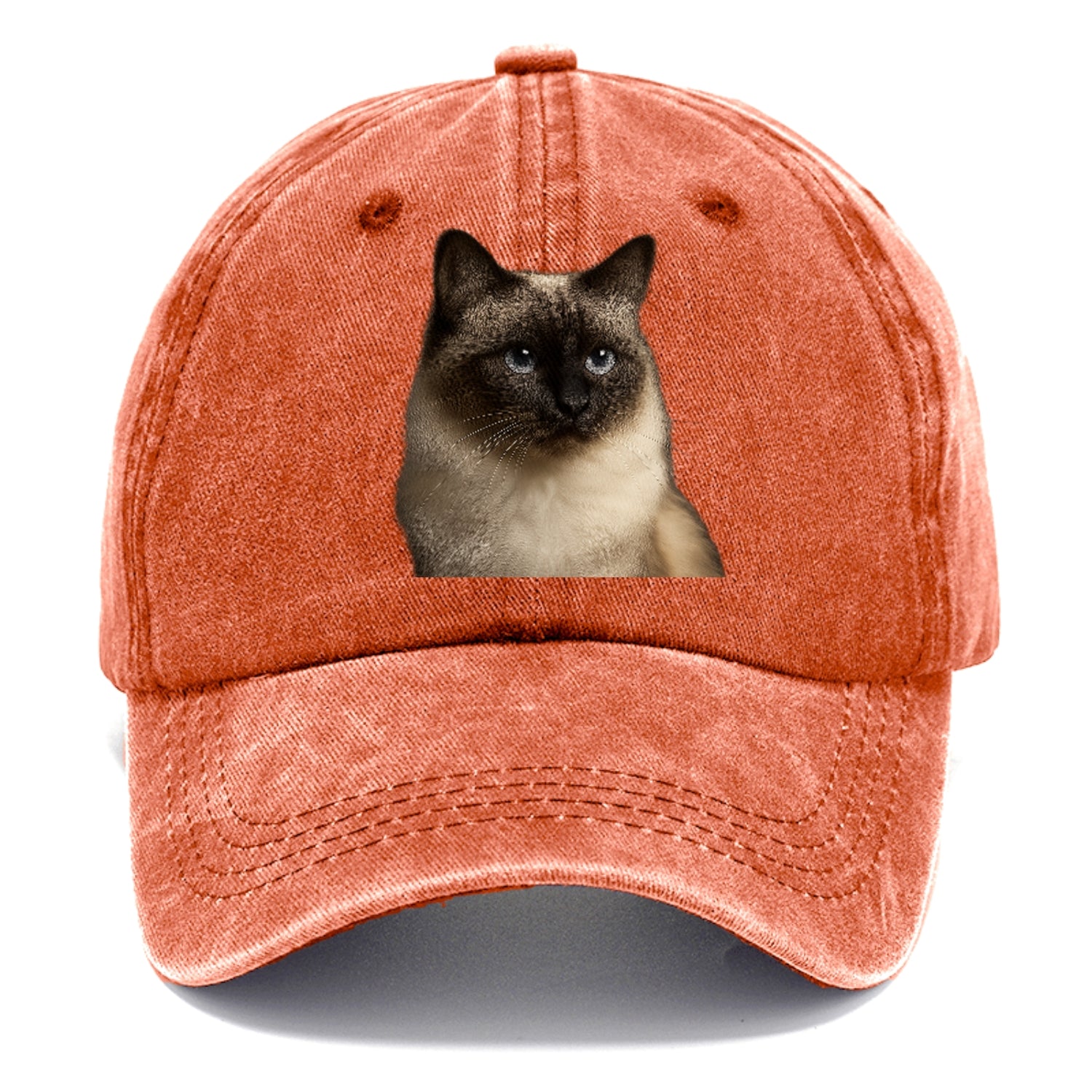 birman-cat-serene-elegance Hat