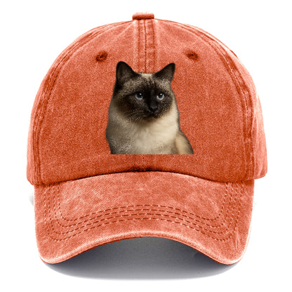 birman-cat-serene-elegance Hat