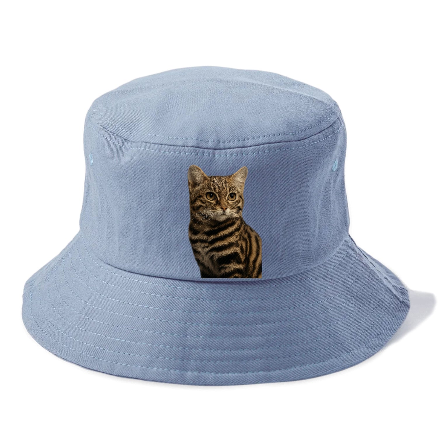 blackfooted-cat-elusive-hunter Hat